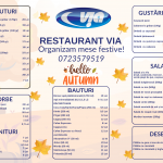 COMPLEX-VIA-Restaurant-I-Motel-I-Benzinarie-I-Spalatorie-Auto-Cristesti-nr.-800D-Jud.-Mures-MENIUL-ZILEI-zilnic-intre-orele-09-15-Organizam-mese-festive-la-cerere-Contact-tel.-0265252724-sau-072-4