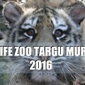 ZOO TG MURES