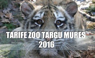 ZOO TG MURES