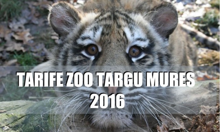 ZOO TG MURES