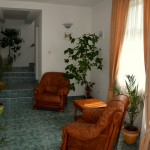 Cazare in Targu Mures la Pensiune Restaurant Motel Via , imagine Receptie