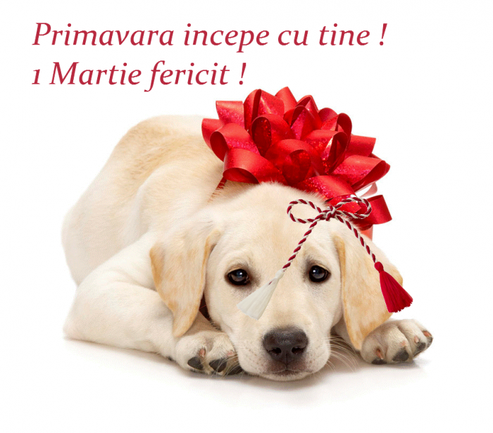 martisor 1 martie